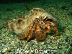 taken at St Aabbs with a fuji f30 on micro with internal ... by Steve Bateman 